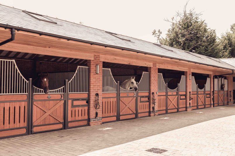 Überdachte Pferdeboxen Bremen aus Edelstahl Pferde blicken in den Innenhof