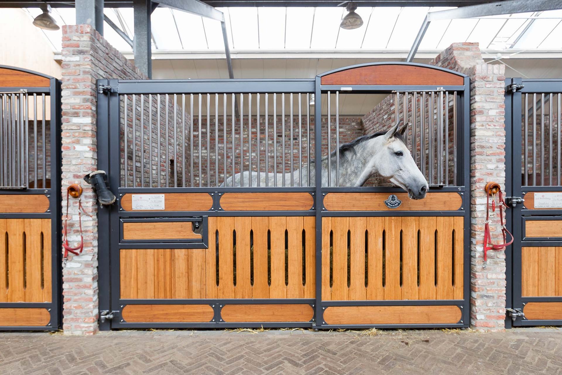 Image horse stall model Hamburg (M000026518)