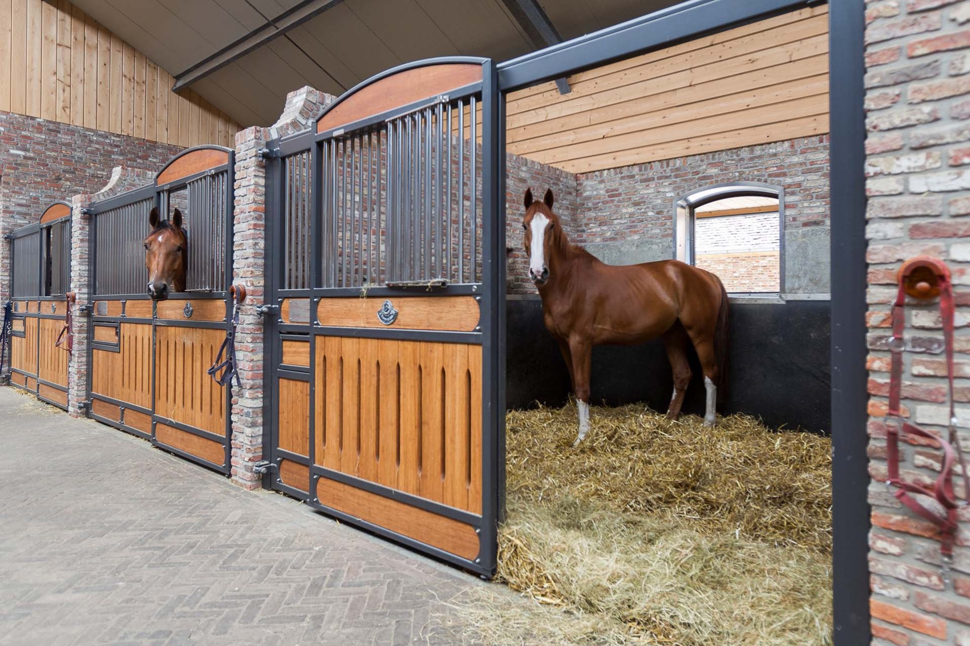 Image horse stall model Hamburg (M000026524)