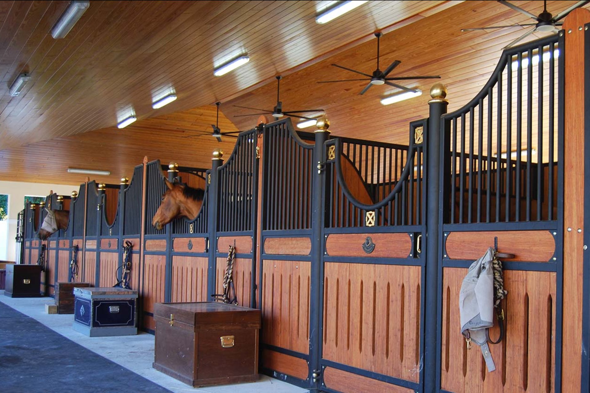 Image horse stall model Rom (M000037603)
