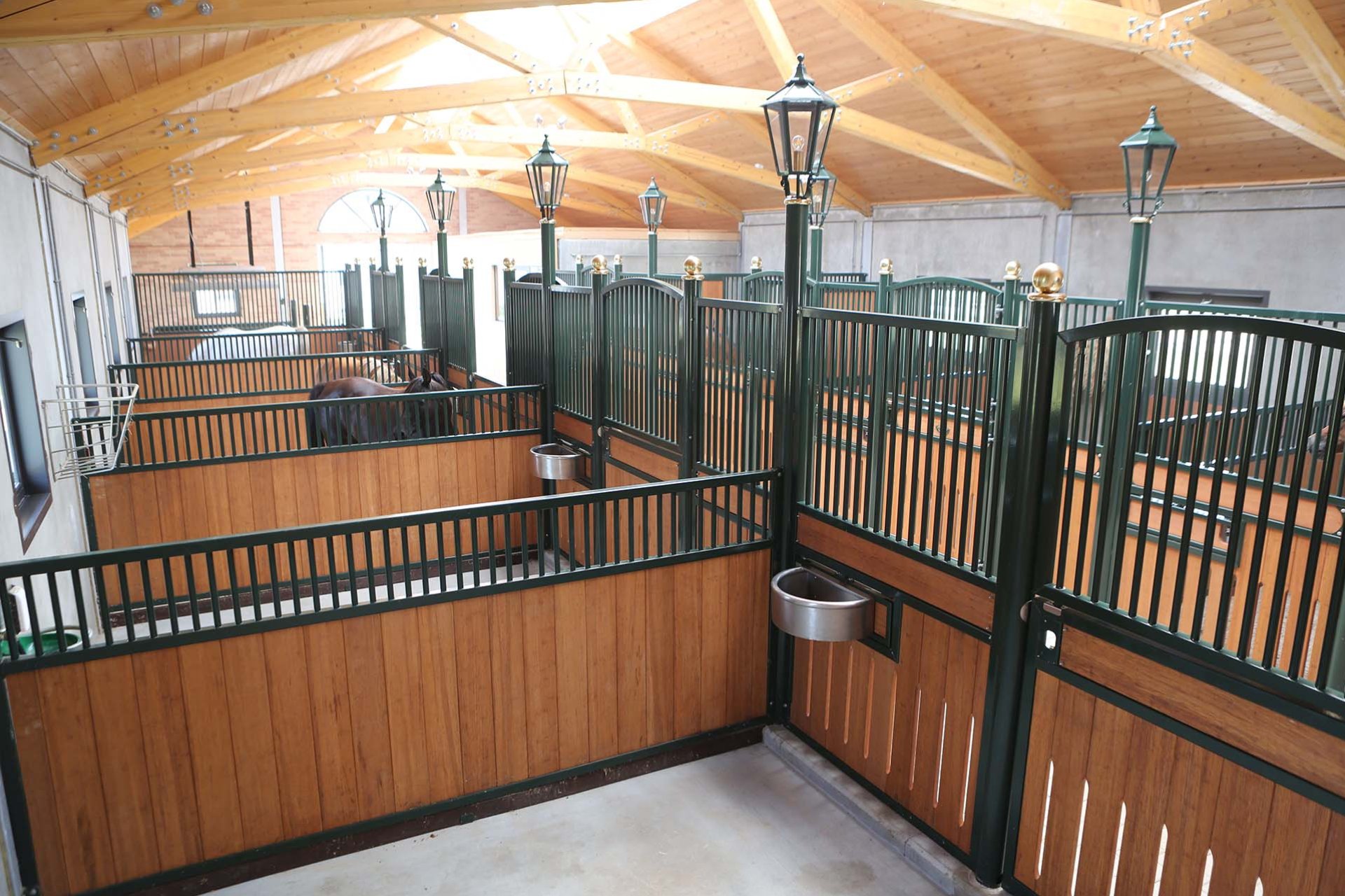 Image horse stall stable partitions (M000026718)