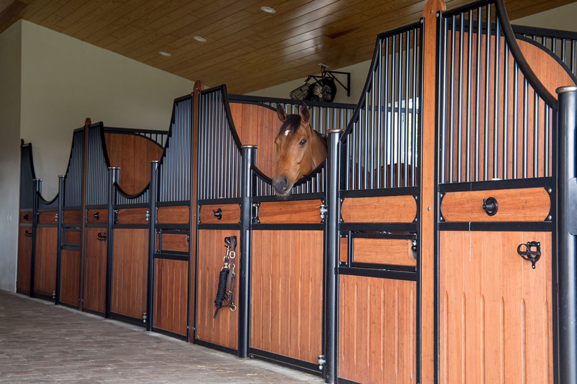 Image horse stall model Bremen (M000070649)
