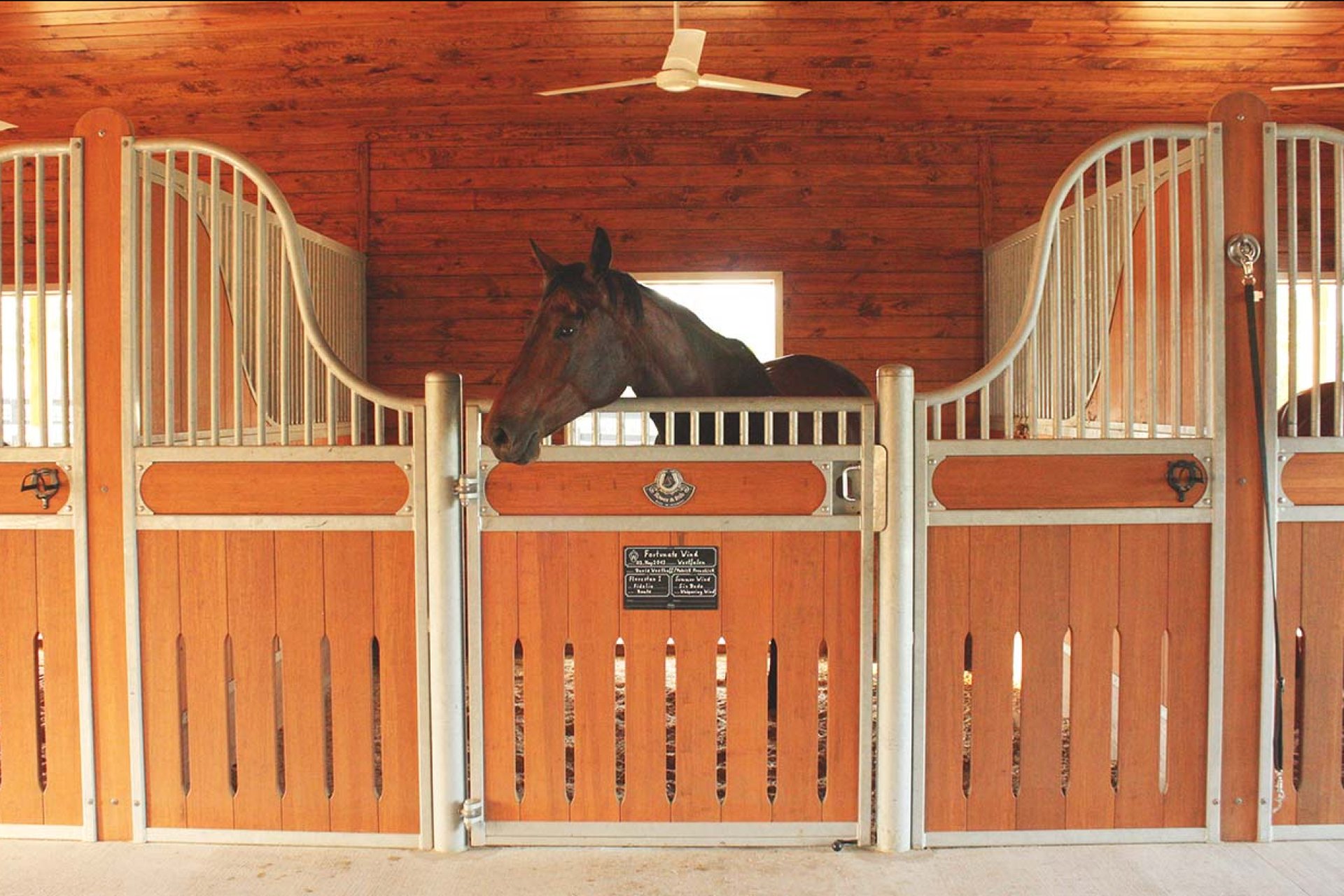 Image horse stall model Berlin (M000083533)