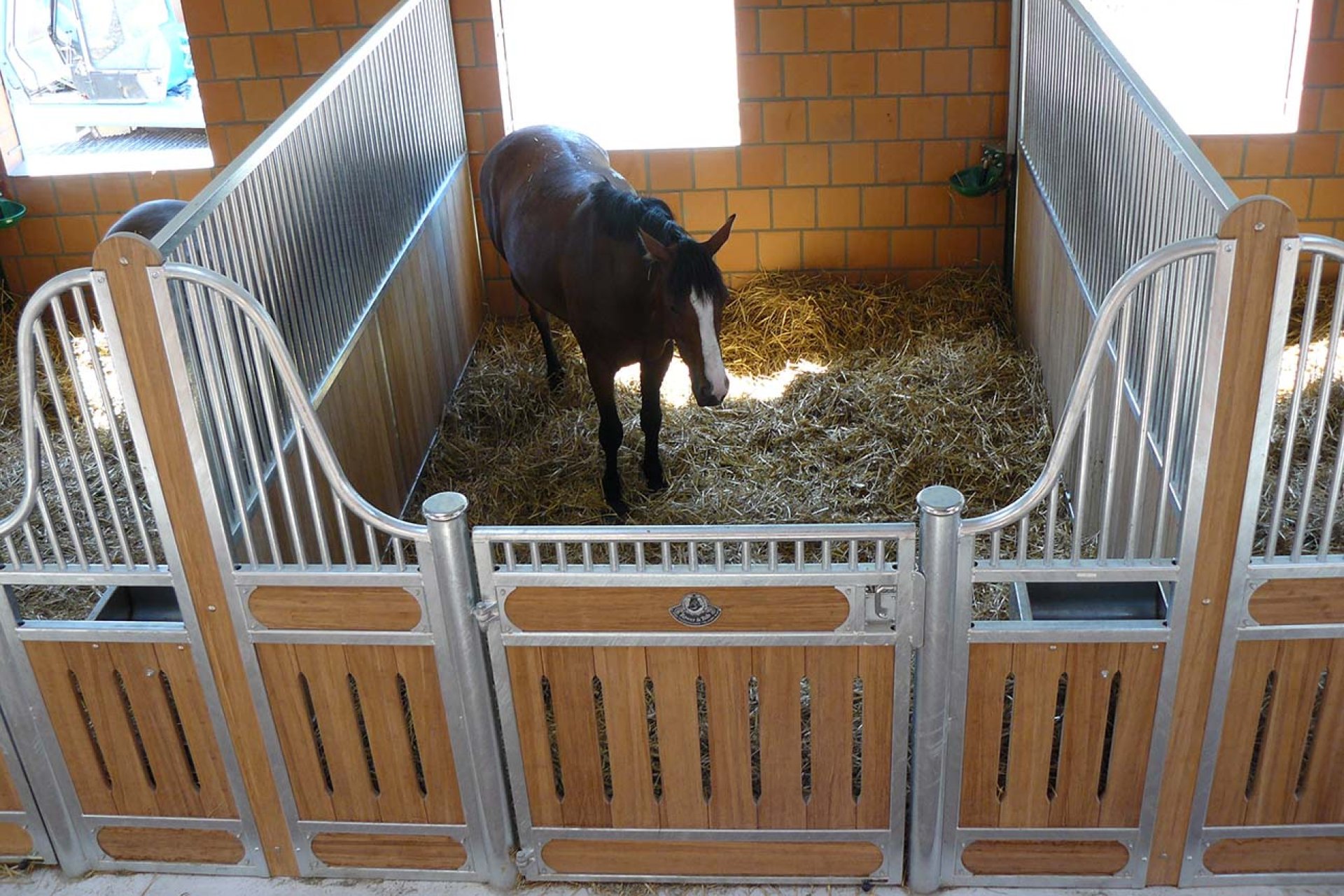 Image horse stall model Berlin (M000051486)