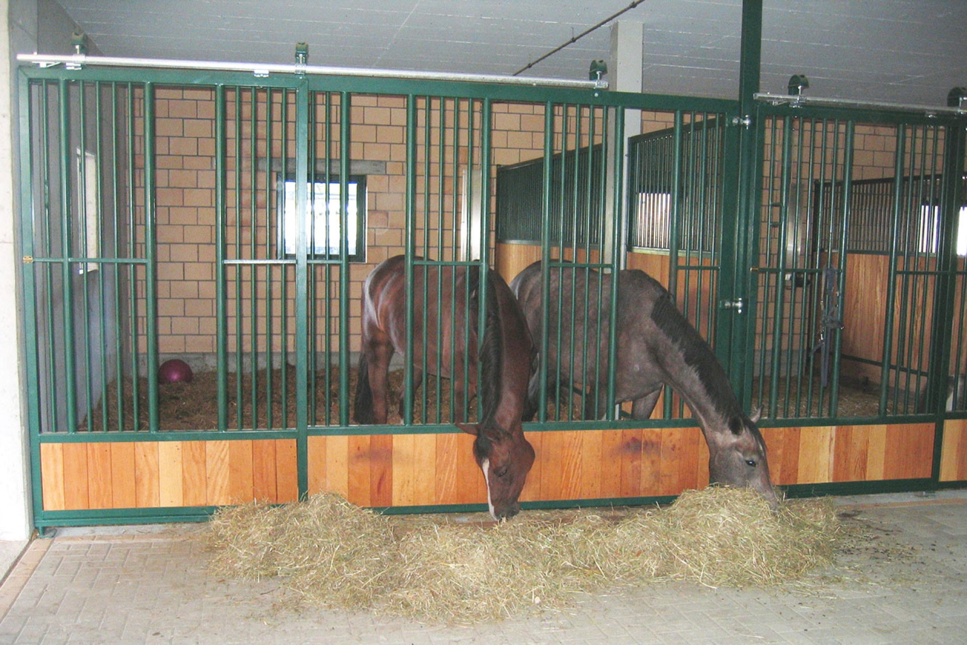 Image horse stall model feeding pens (M000056955)