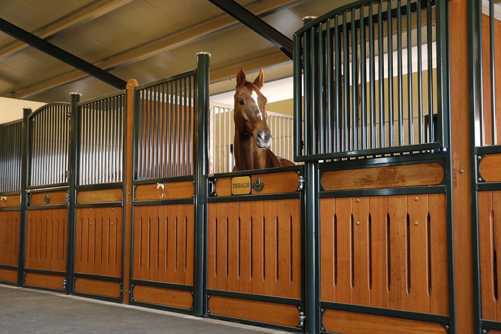 Image horse stall model Hannover (M000076189)
