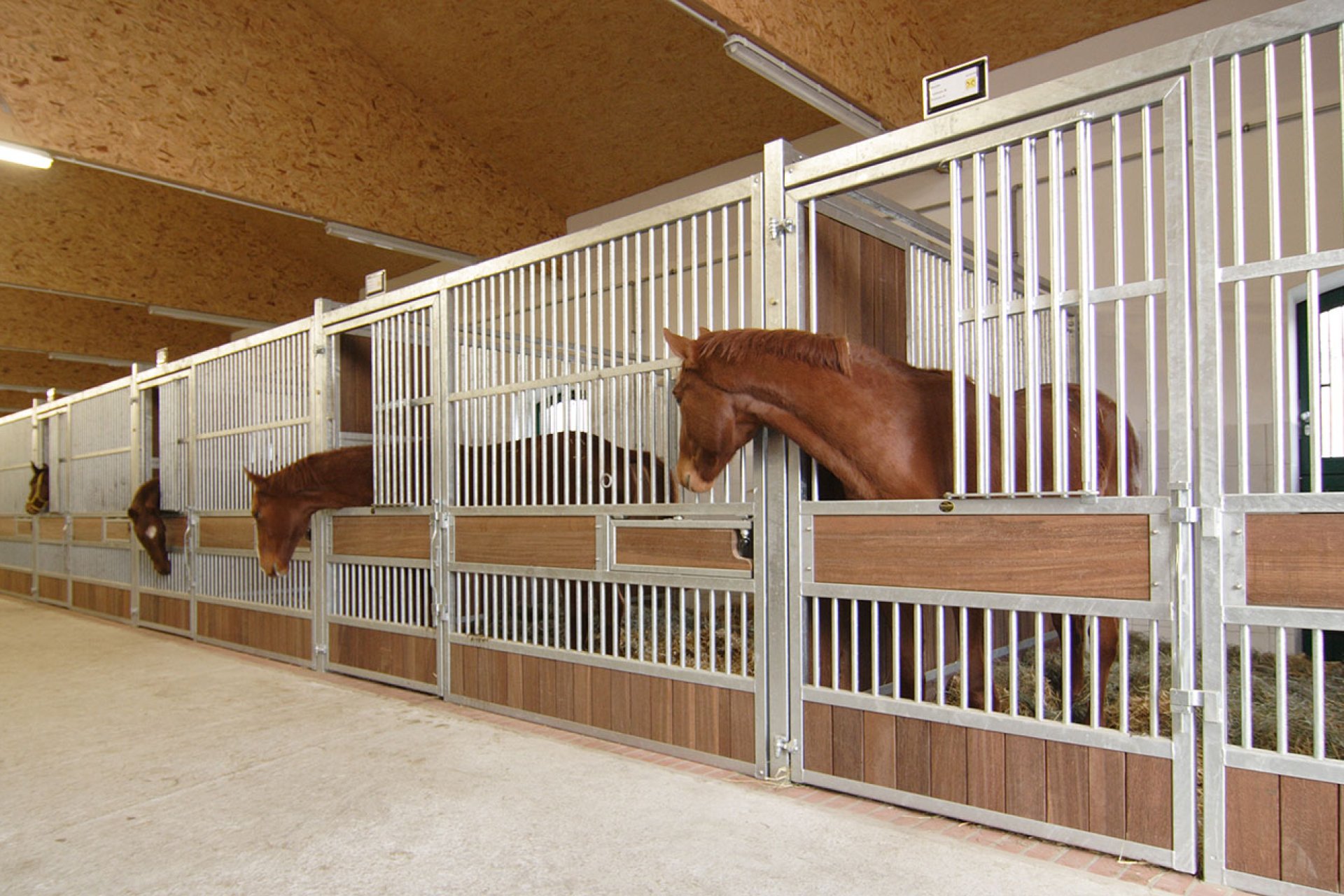 Image horse stall model Individually (M000051397)