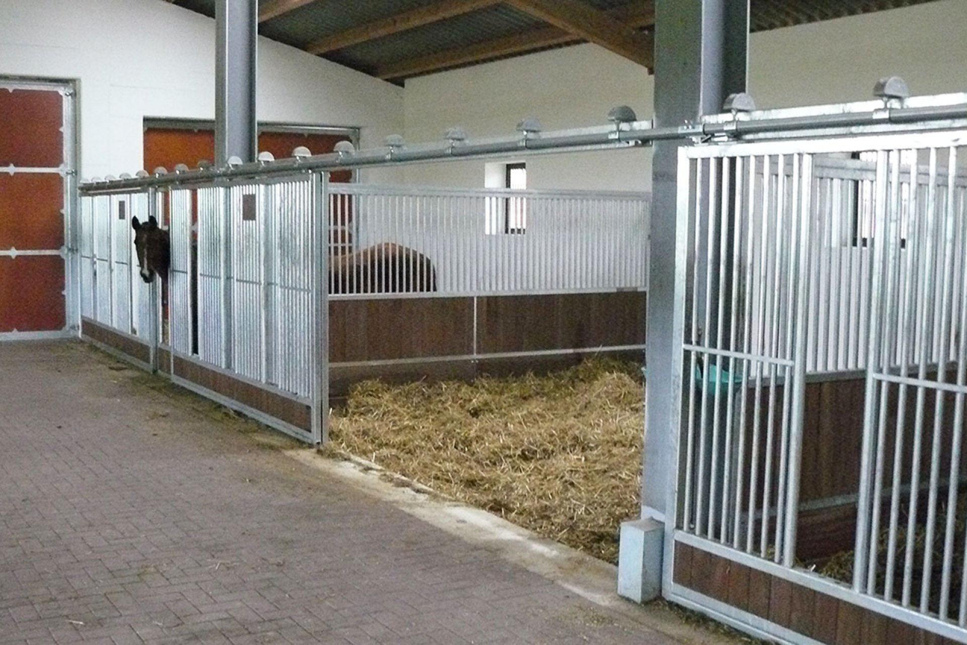 Image horse stall model feeding pens (M000053443)