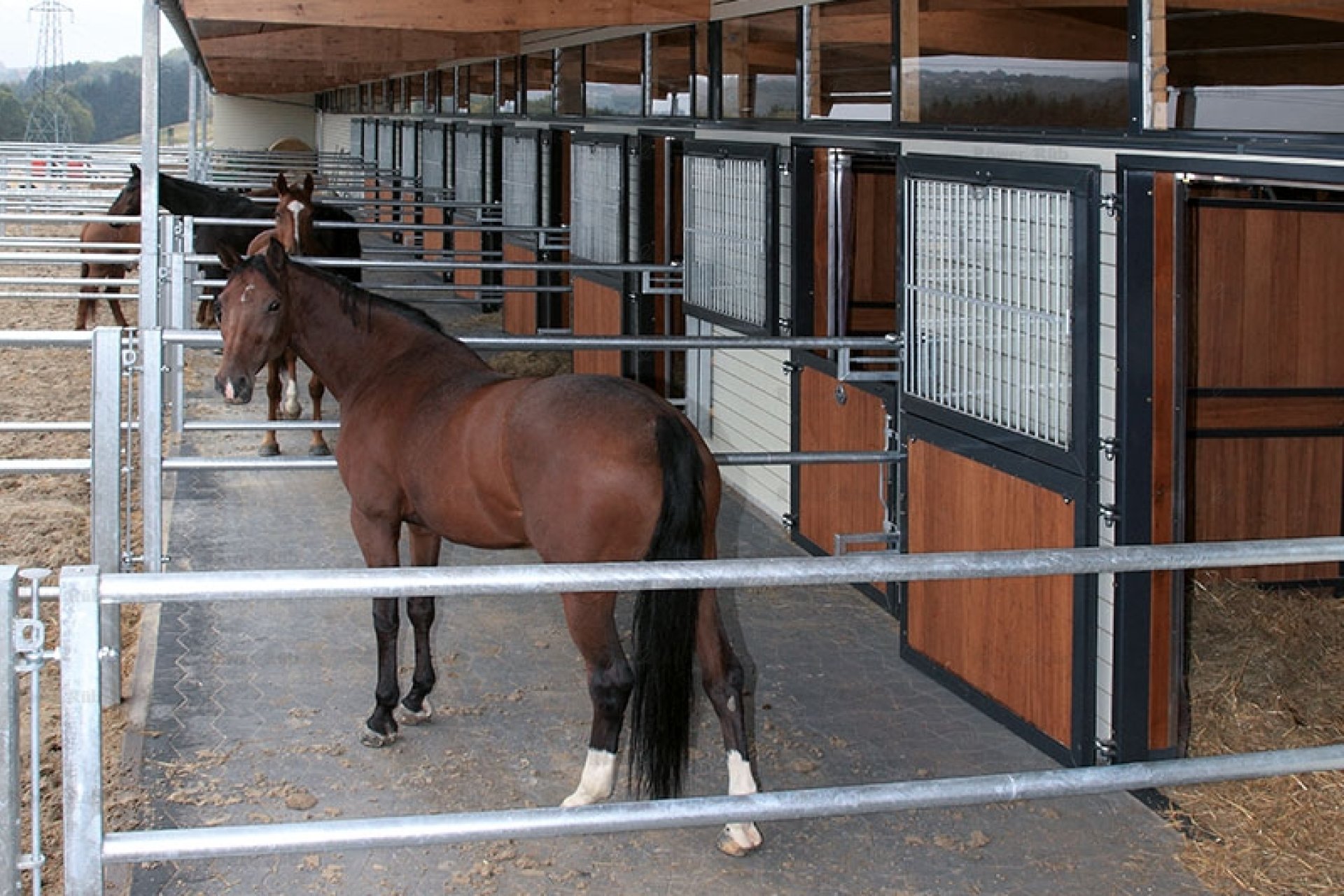 Image horse stall paddock pens