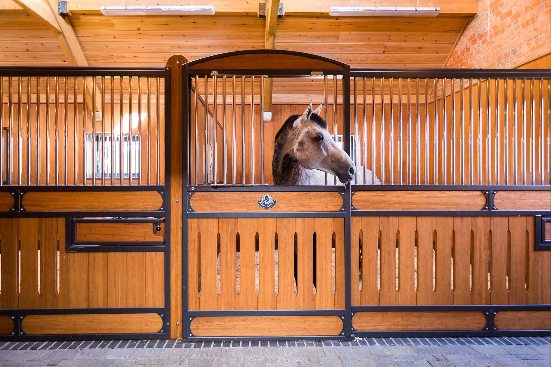 Image horse stall model Hamburg (M000029809)