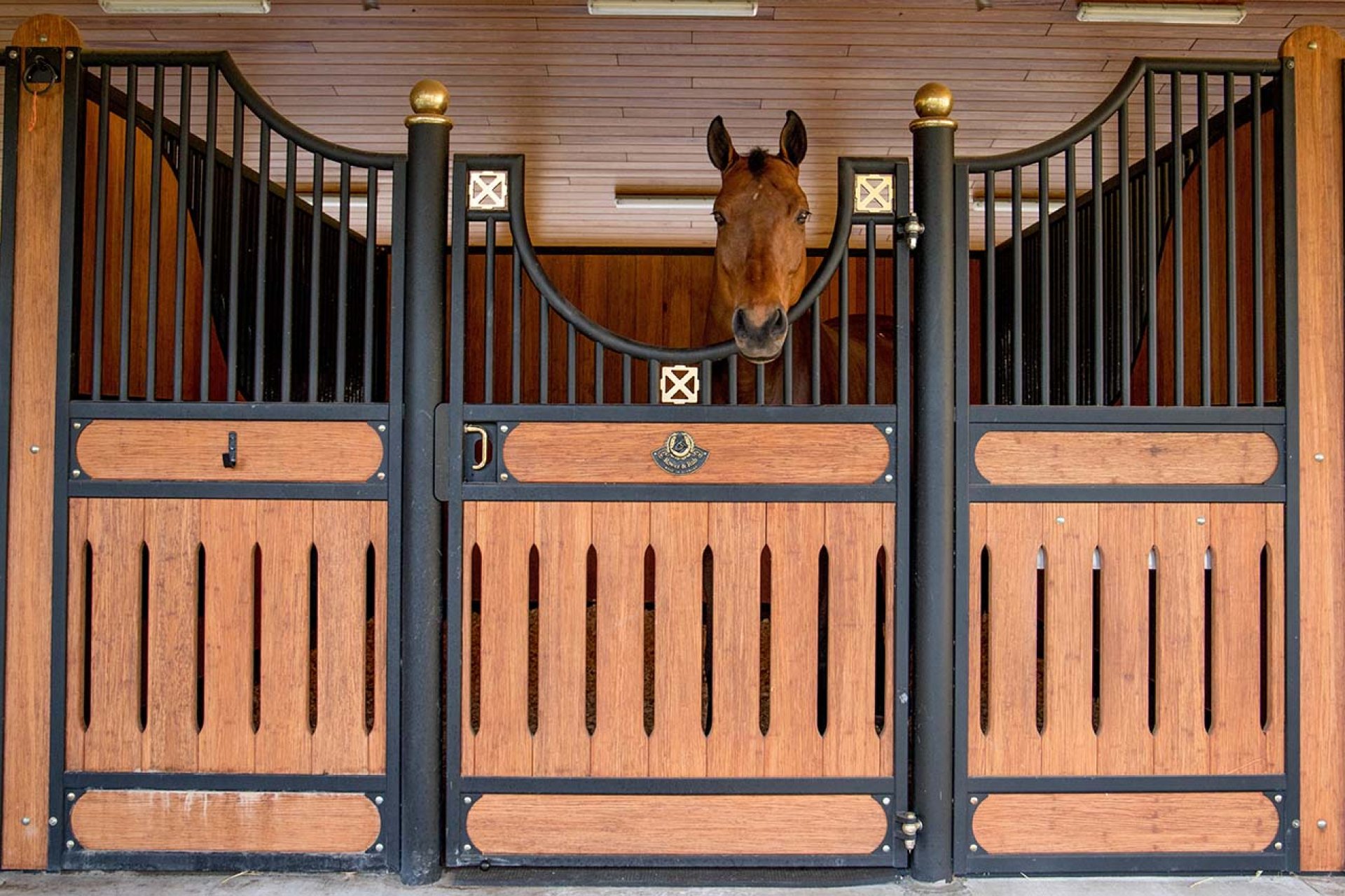 Image horse stall model Rom (M000097613)