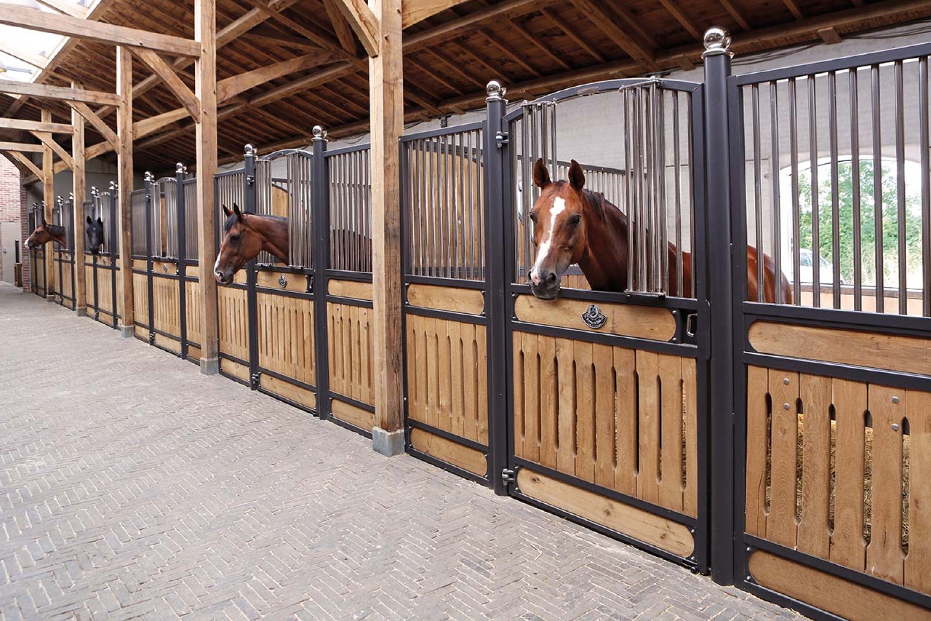 Image horse stall model Hannover (M000097696)