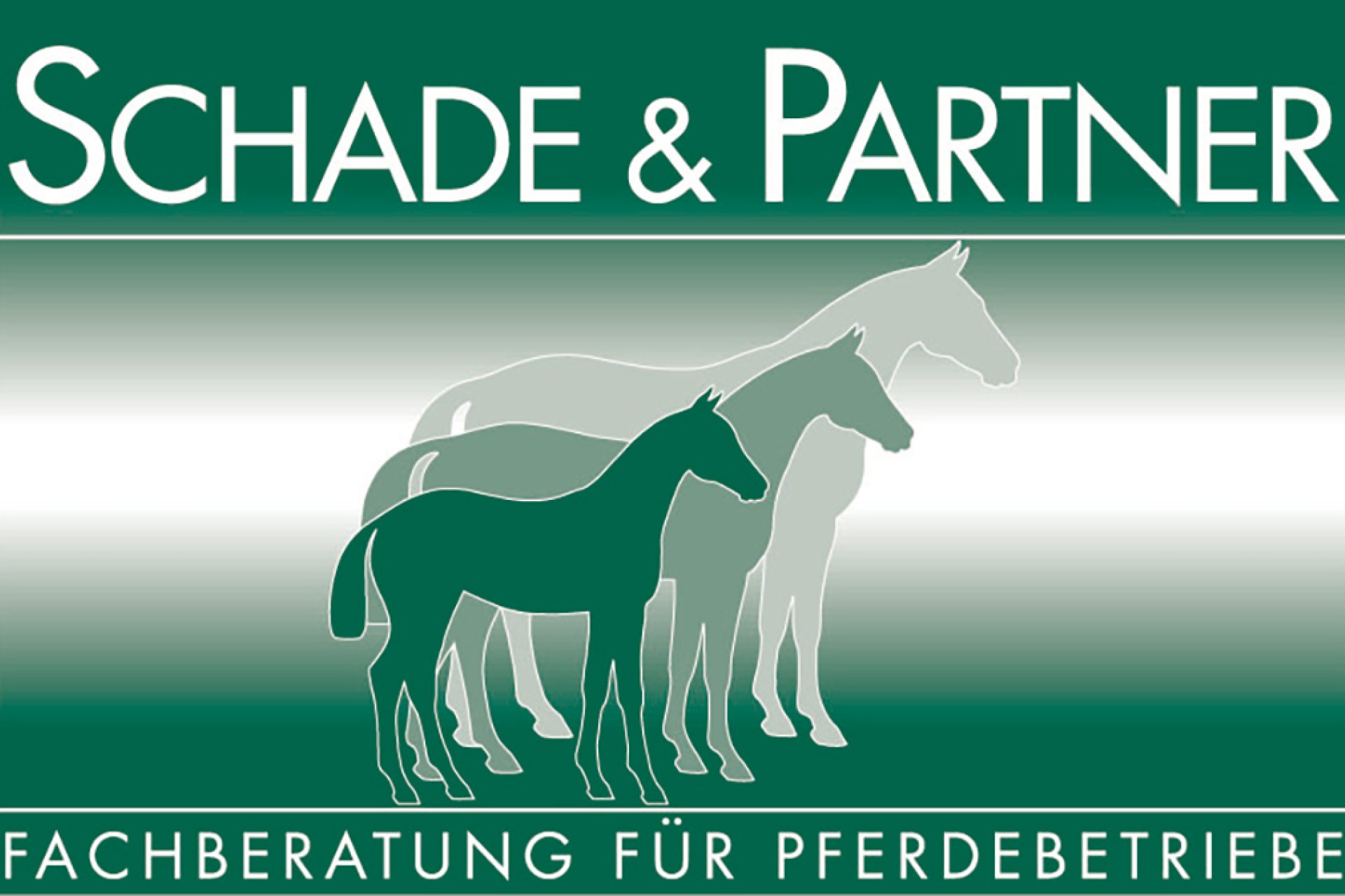 Logo Schade & Partner