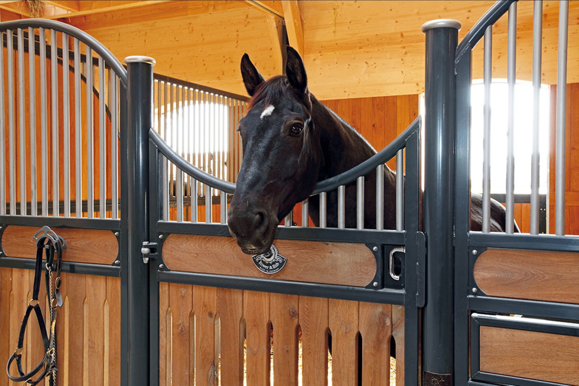 Image horse stall model Amsterdam (M00004042)
