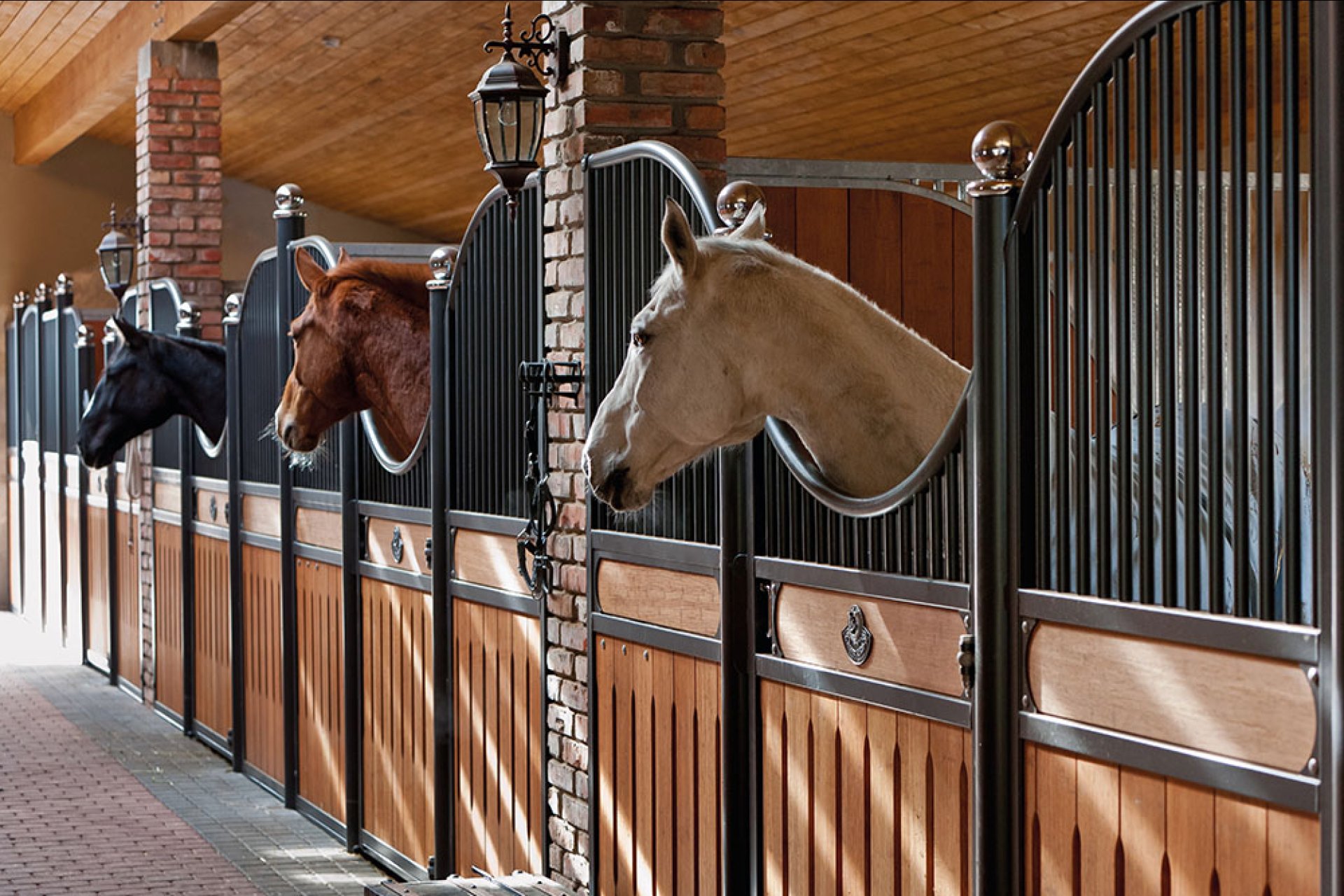 Image horse stall model Amsterdam (M000039982)