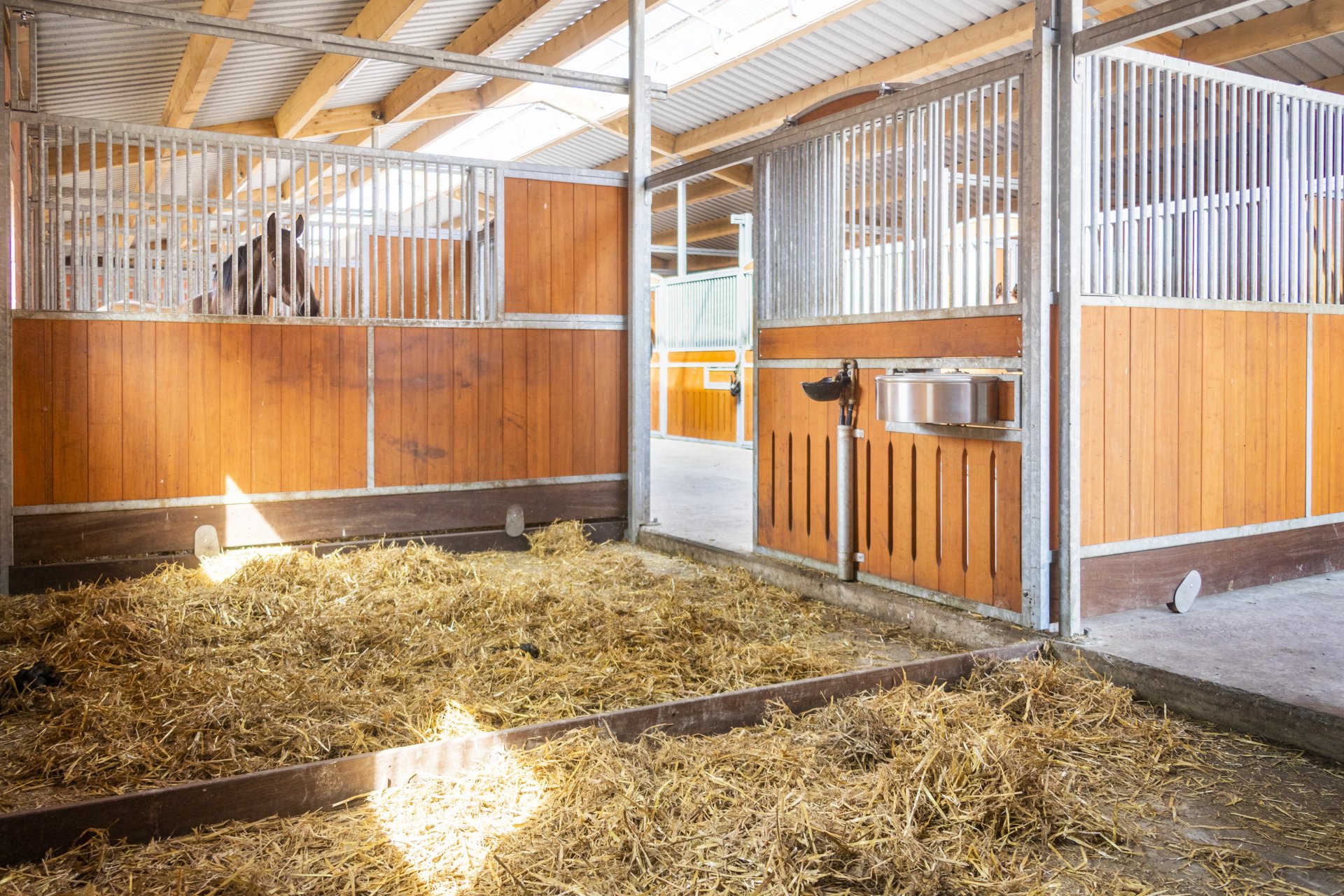 Image horse stall stable partitions (M000115731)