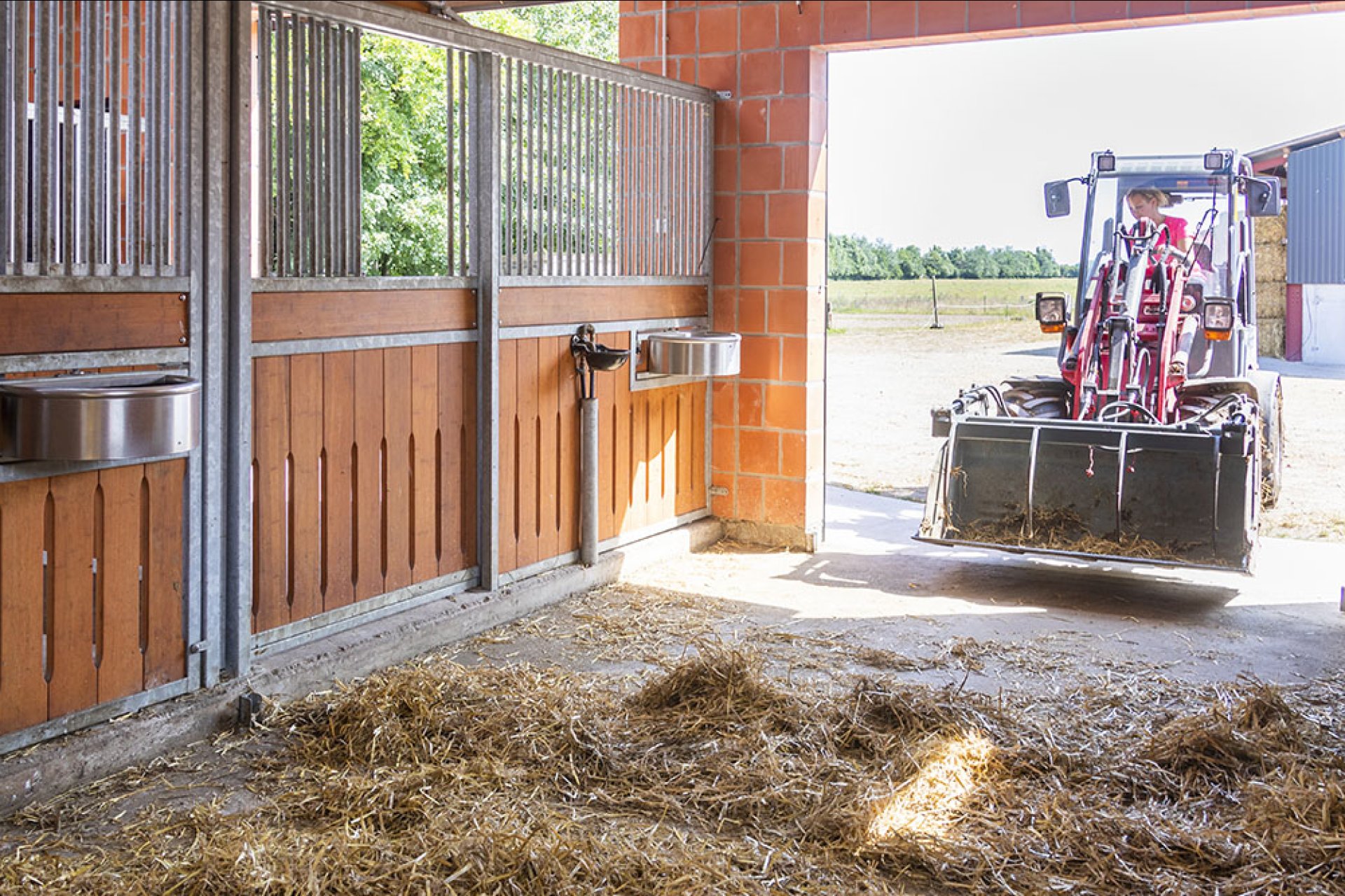 Image horse stall stable partitions (M000115724)