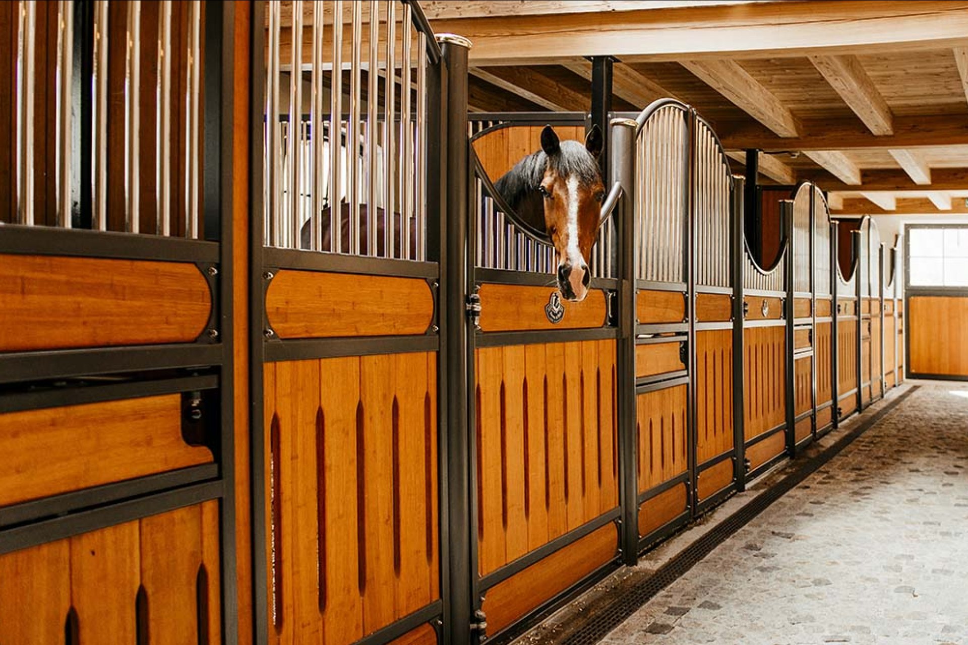 Image horse stall model Amsterdam (M000112826)