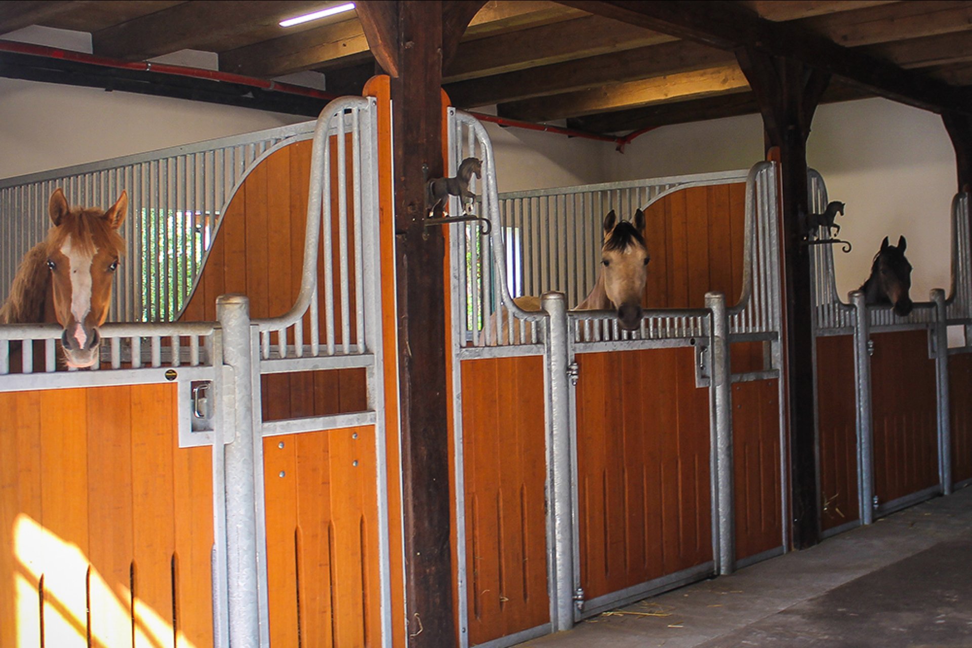 Image horse stall model Berlin (M000112988)