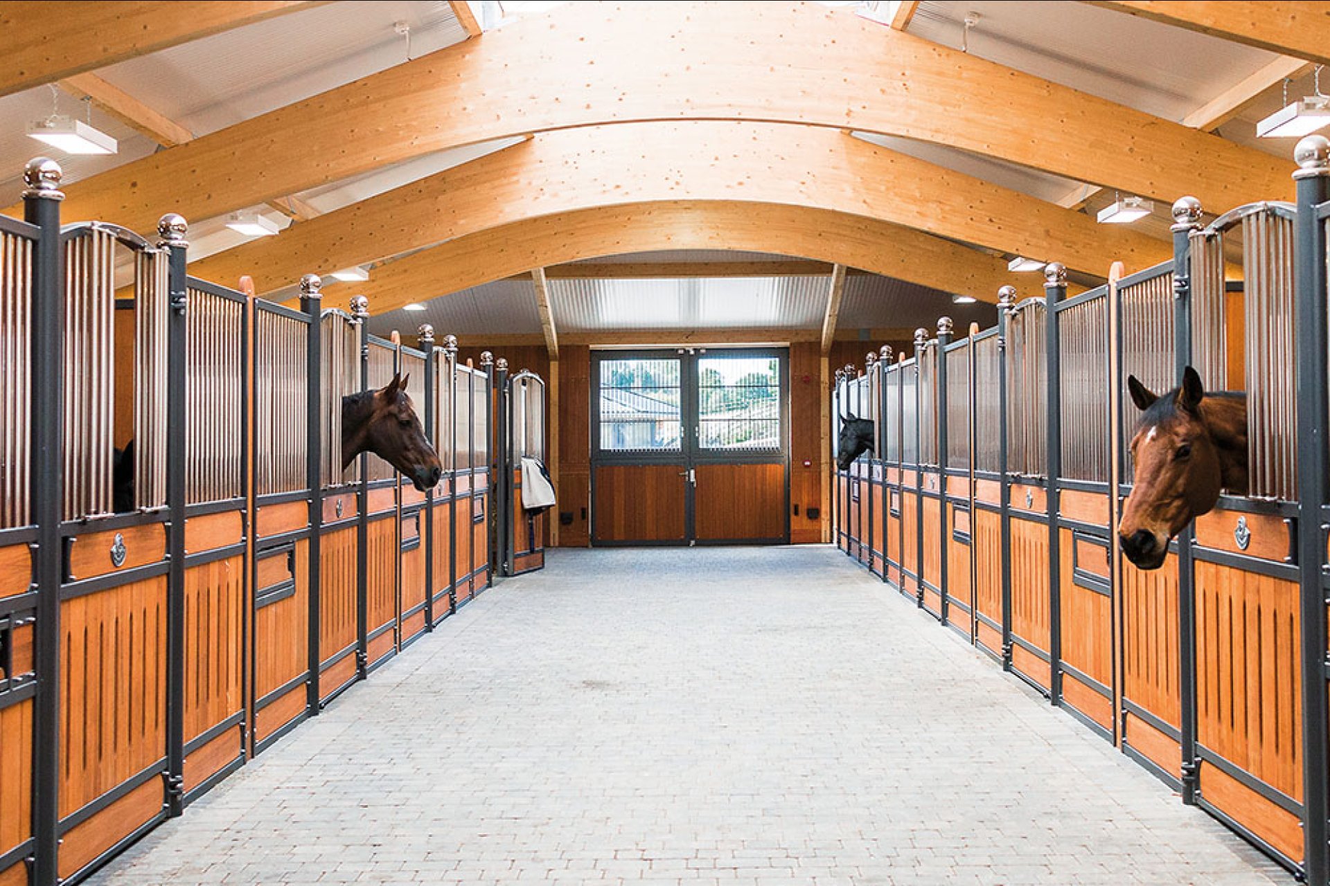 Image horse stall model Hannover (M000039953)
