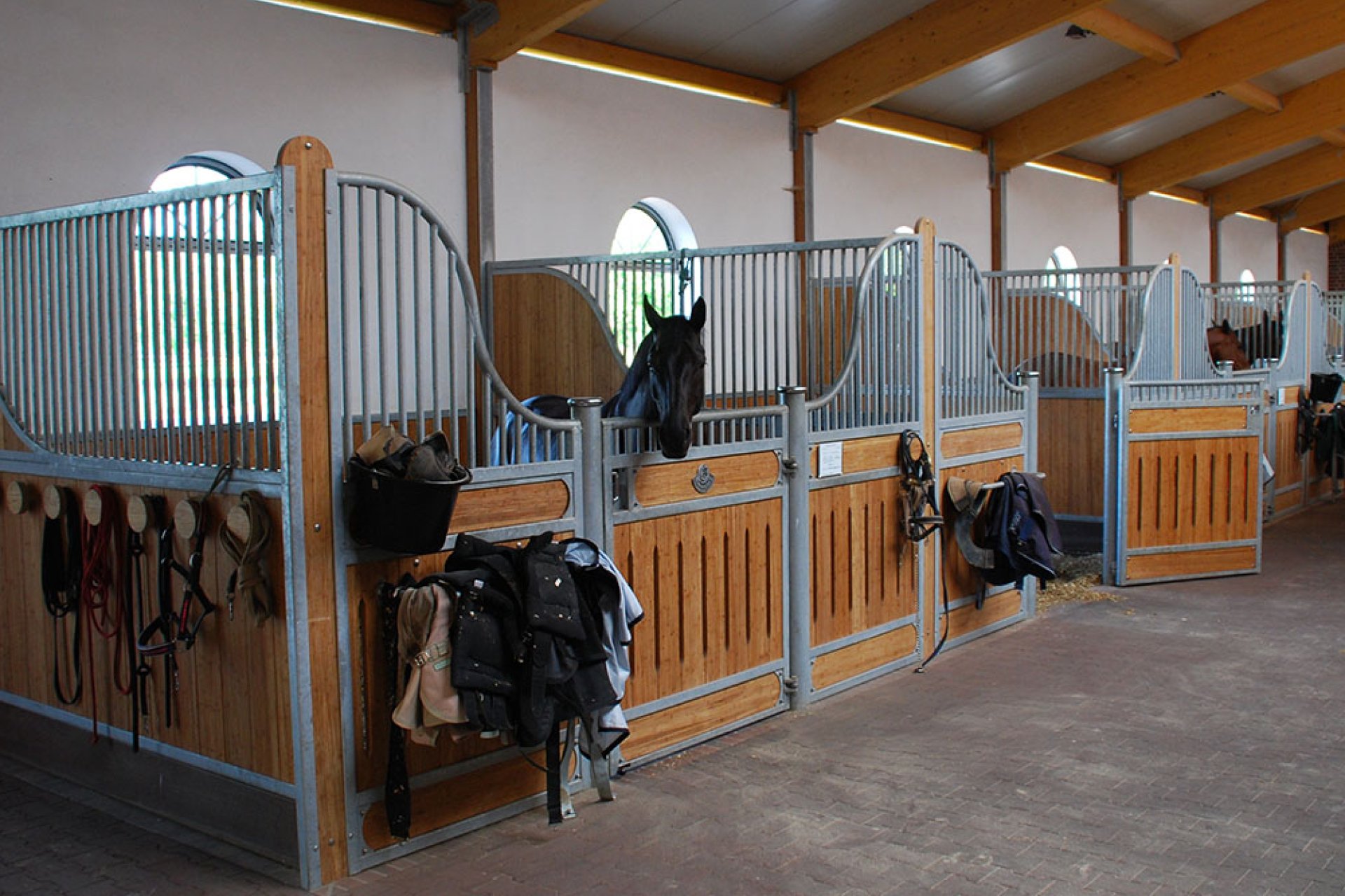 Image Horse stalls model Berlin (M000065835)