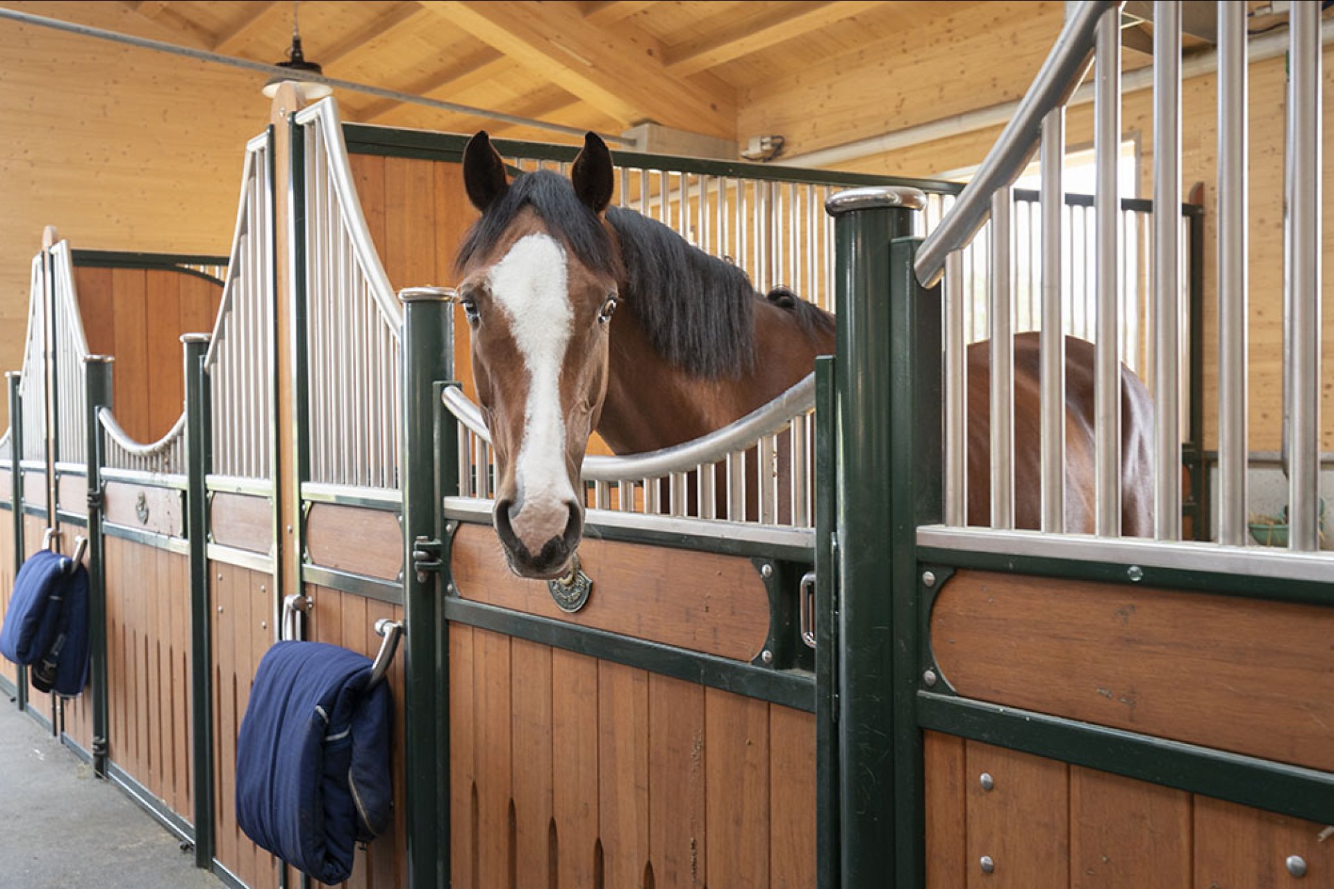 Image horse stall model Bremen (M000118184)