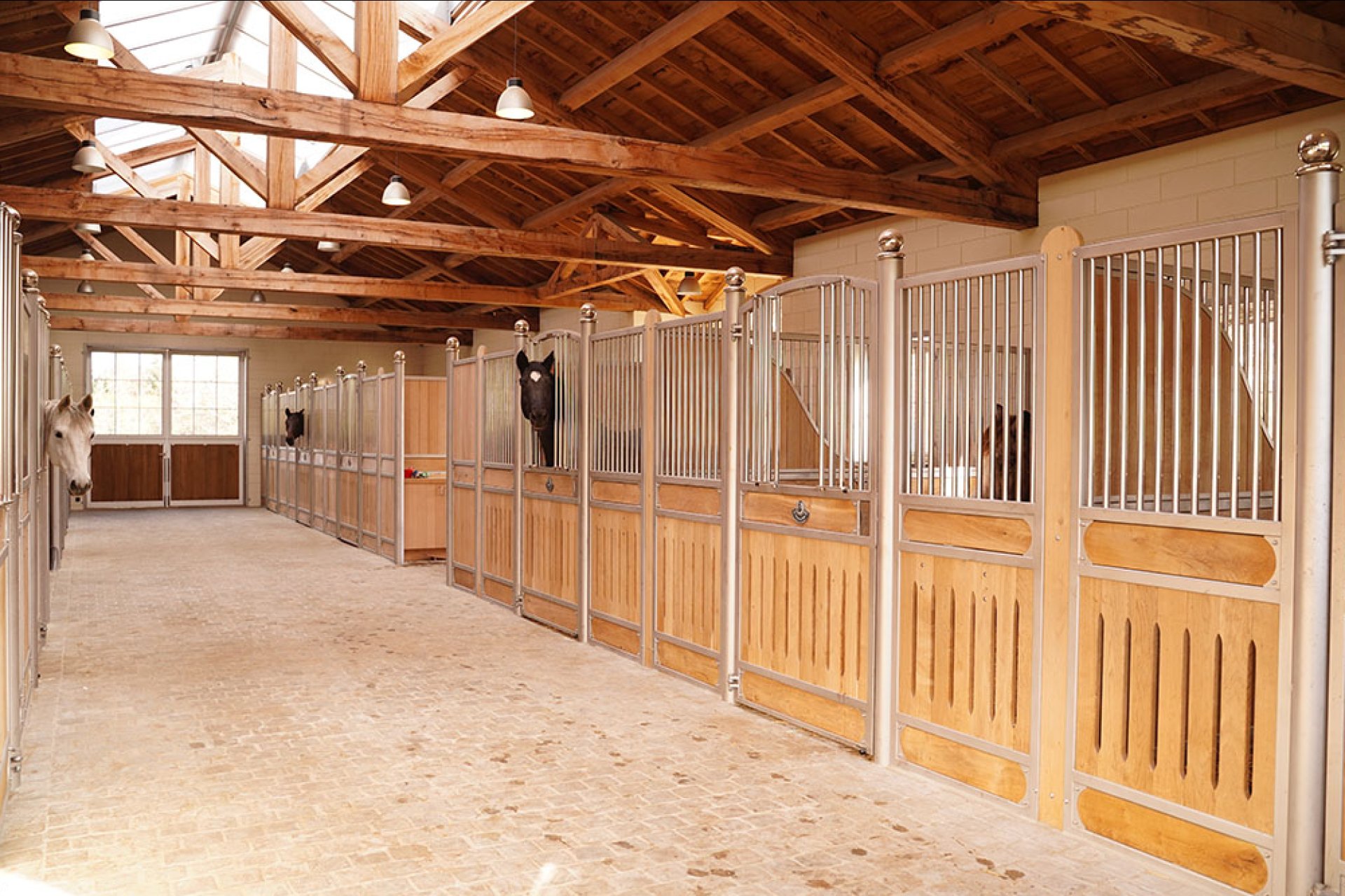 Image horse stall model Hannover (M000120569)