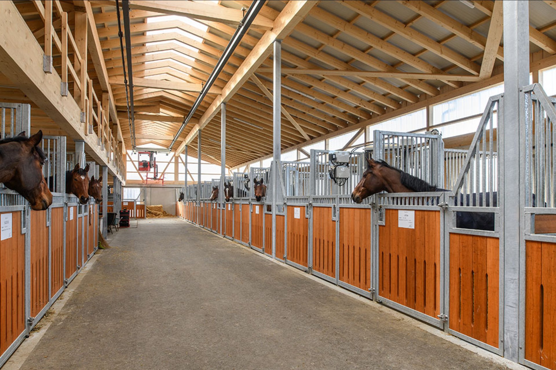 Image horse stall model Individually (M000125802)