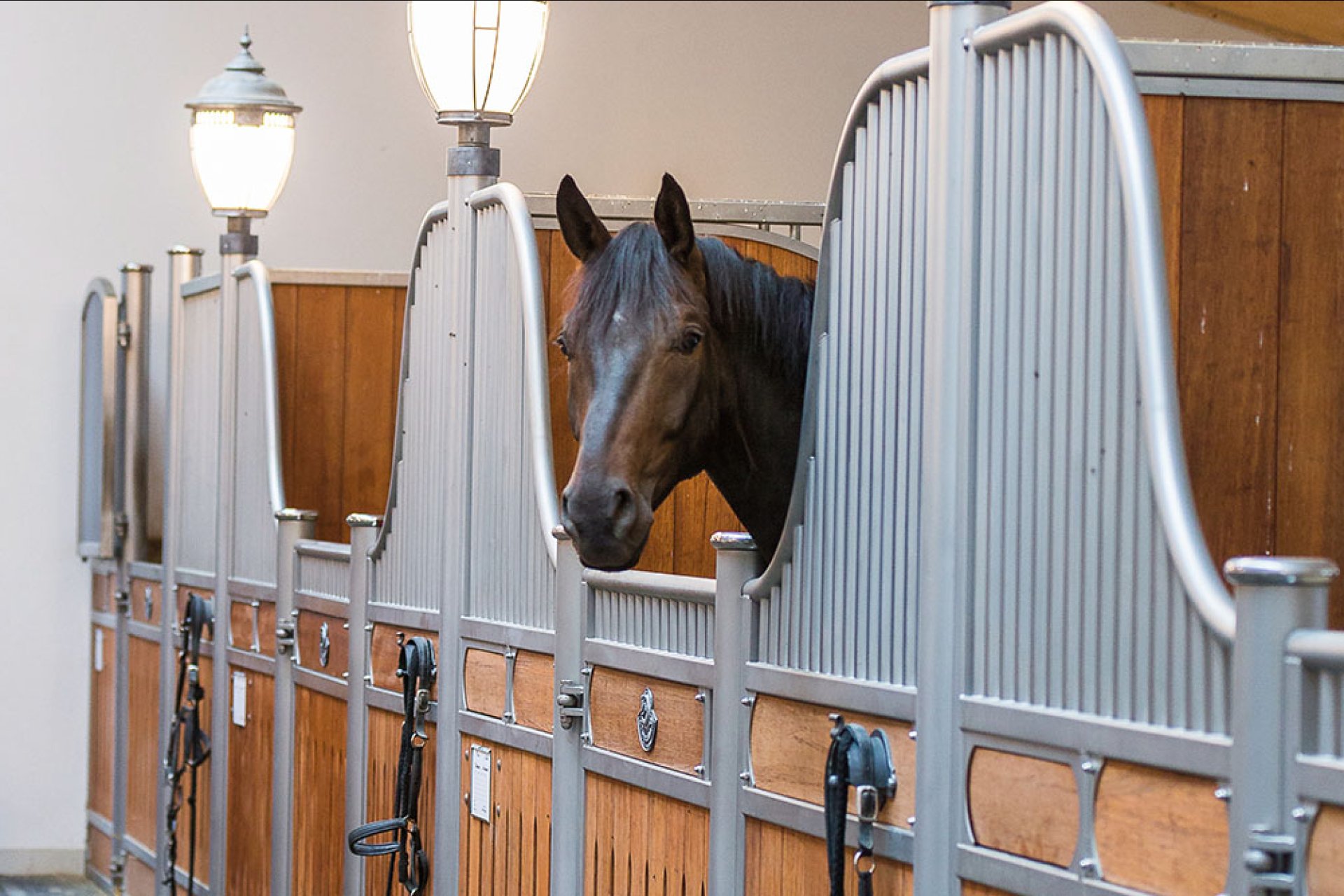 Image horse stall model Berlin (M000039965)