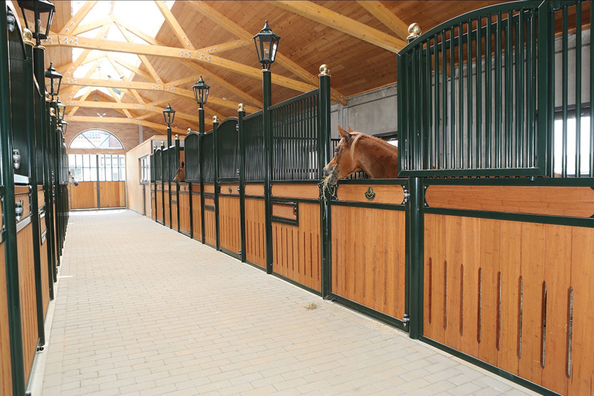 Image horse stall model Hannover (M000026644)